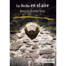 la-flecha-en-el-aire